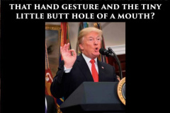 20240813-trump-butthole-mouth