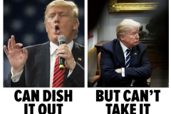 20240831-trump-can-dish-cant-take