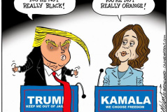 20240831-trump-harris-orange-black