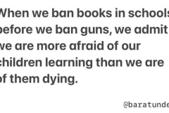 20240903-ban-books-before-guns