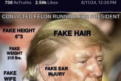 20240904-trump-fake