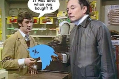 20240905-twitter-dead-parrot