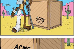 20240911-roadrunner-gop