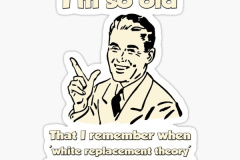 20240912-replacement-theory-racism