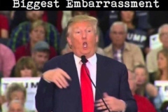 20240914-trump-sick-fuck