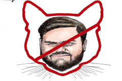 20240921-cat-no-vance