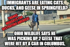 20240921-trump-hiatians-proof