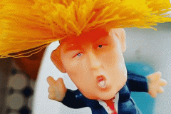 20240927-trump-toilet-brush4