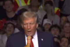 20241101-trump-blow-job