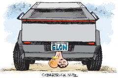 20250219-cybertruck-nutz