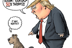 20250303-trump-50pc-tarrifs