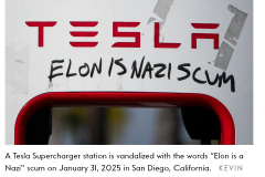 20250312-tesla-musk-nazi-scum