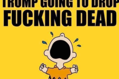 20250312-trump-drop-fucking-dead