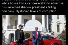 20250312-trump-musk-tesla-corruption