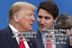 20250318-trump-calling-me-a-fat-shit