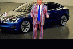 20250318-trump-musk-fire-sale-tesla