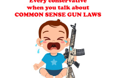 20250324-conservative-about-gun-laws