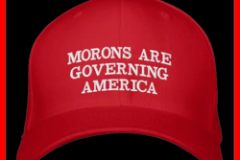 20250324-morons-are-governing-america