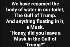 20250324-toilet-gulf-of-trump