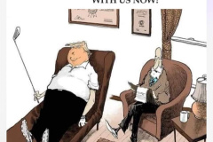 20250324-trump-very-large-crowds