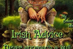 20250402-irish-advice