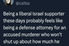 20250402-liberal-israel-supporter