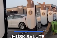 20250402-musk-nazi-chargers