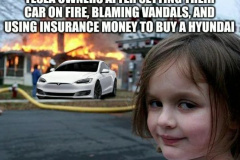 20250402-tesla-owners-blaming-vandals-insurance