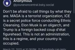 20250402-trump-maga-terrorist-organisation