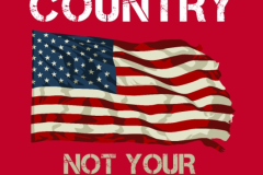 20250403-our-country-not-your-church