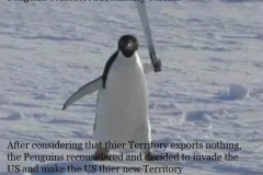 20250404-heard-and-mcdonald-penguins-retaliate