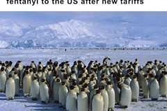 20250404-penfuins-fentanyl