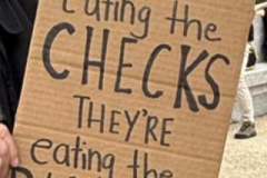 20250405-theyre-eating-the-cheques