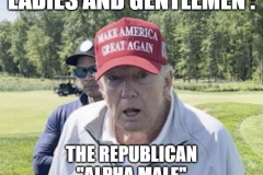 20250405-trump-alpha-male