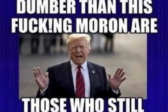 20250408-olly-people-dumber-than-trump