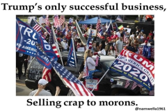 20250408-trumps-only-successful-business