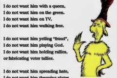 20250408-where-do-i-want-trump-