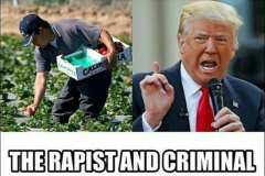 20250415-trump-criminal