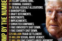 20250630-trump-by-numbers