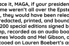 20250713-face-it-maga