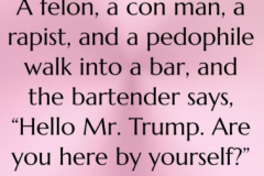 20250727-trump-bar