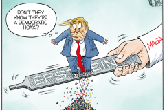 20250727-trump-democrat-hoax