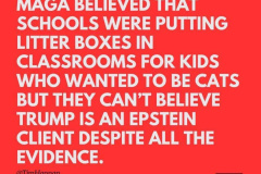 20250727-trump-maga-litter-boxes-epstein