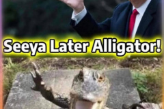 20250727-trump-seeya-later-aligator