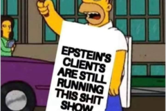 20250728-homer-epstein-shitshow