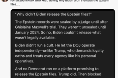 20250728-why-didnt-biden