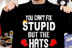 20250730-cant-fix-stupid