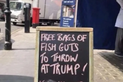 20250730-fish-guts-for-trump.png