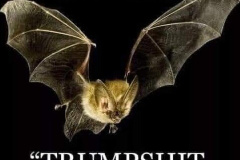 20250730-trumpshit-crazy