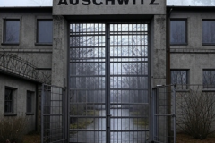 20250822-alligator-auschwitz